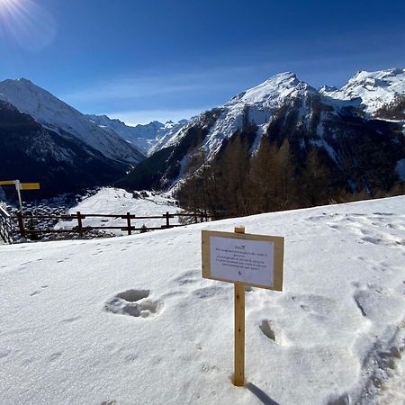 Hotel Belvedere Cogne Exteriör bild