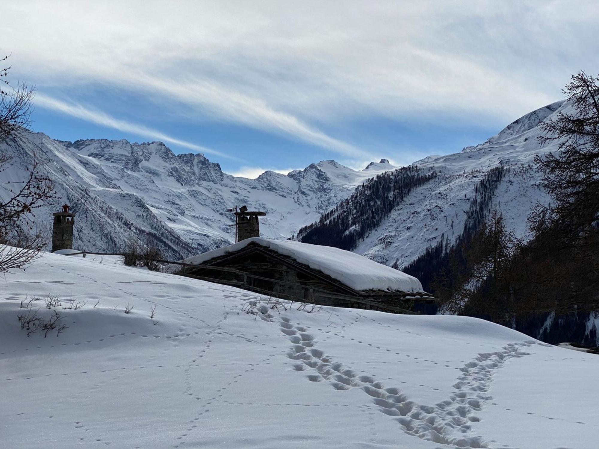 Hotel Belvedere Cogne Exteriör bild